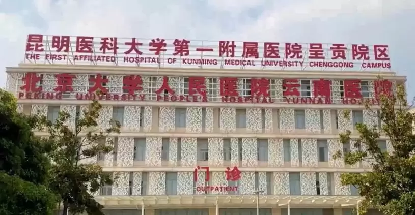 老妇甫到中国中风病危  住院每日千元包机回国天价  女儿哀哭不知所措
