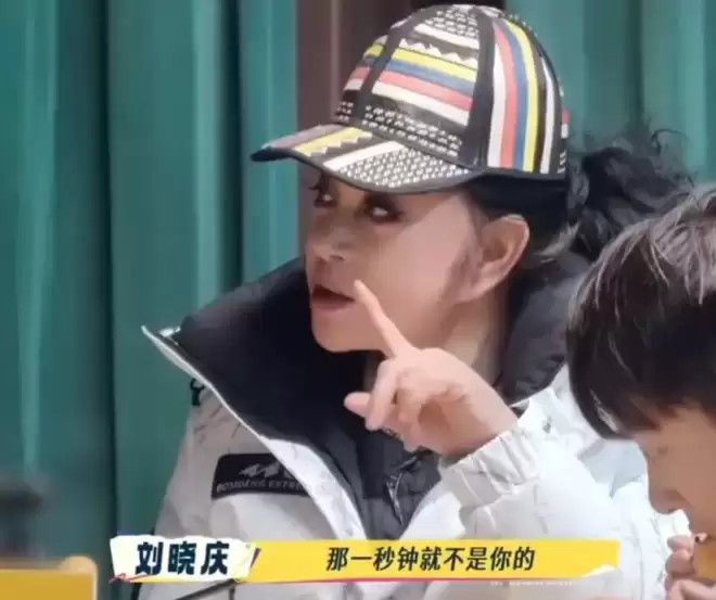 刘晓庆与外甥矛盾被扒，曾吐槽恋爱后反骨...