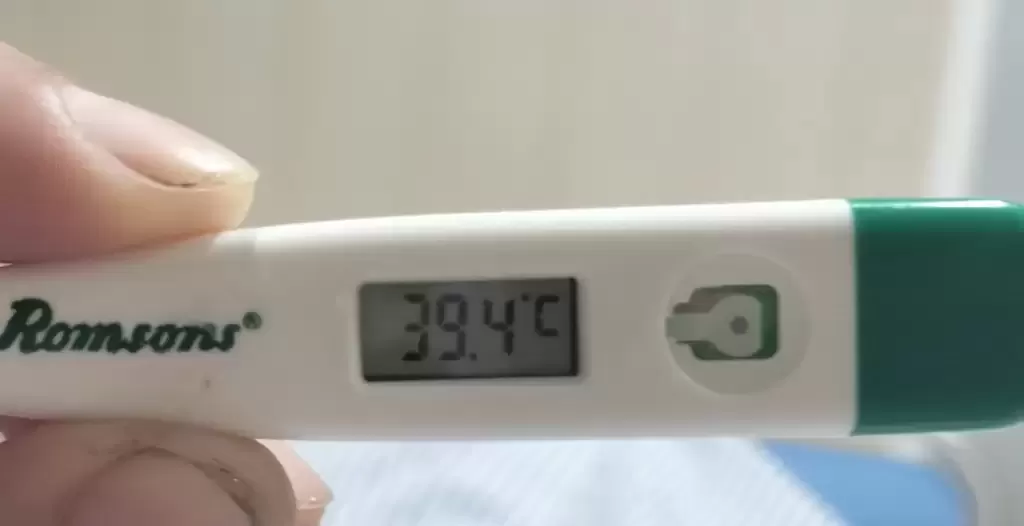 生化攻击｜日本博客拒印度童乞讨20卢比 被丢“牛粪水球”高烧住院4天