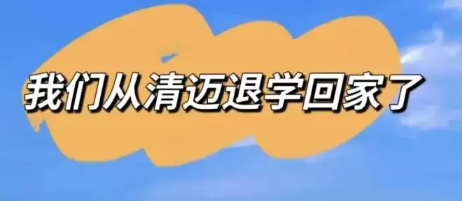 下坠的中国中产家庭，正在批量逃离“陪读天堂”