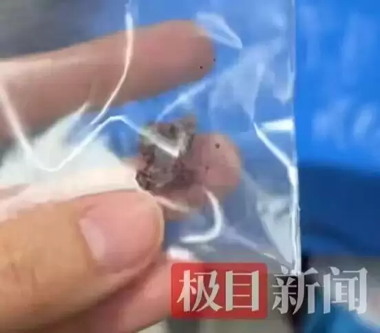 中国游客在泰国中弹，女儿：母亲住院只能吃流食