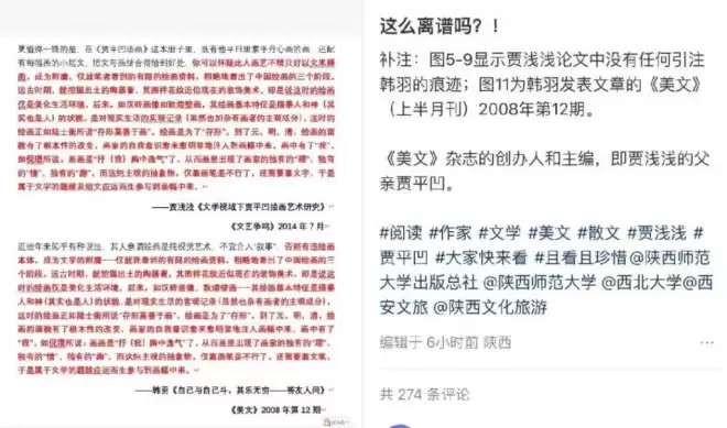贾平凹之女涉嫌大面积抄袭