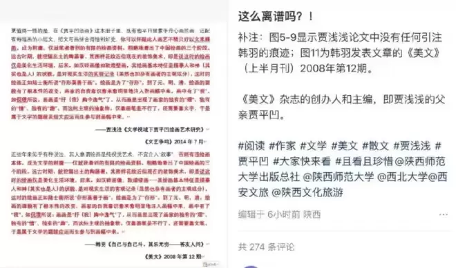 贾平凹之女涉嫌大面积抄袭