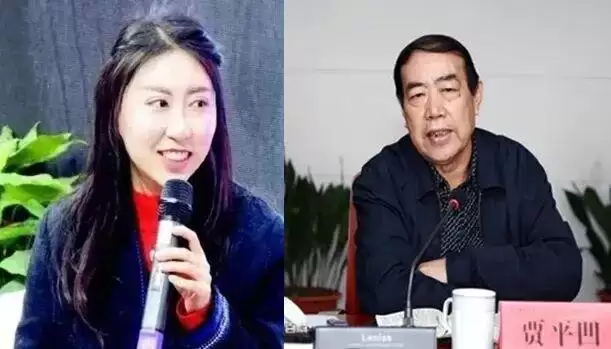 贾平凹之女涉嫌大面积抄袭