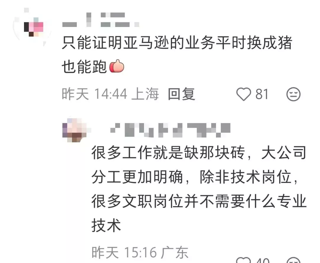 亚马逊5月随机裁员1.4万人 中国团队或被“团灭”