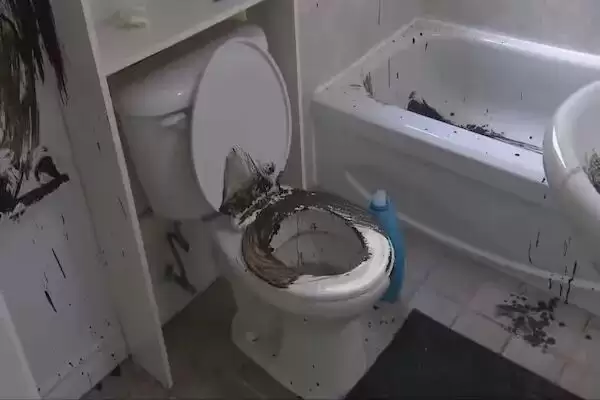 租客如此破坏，房东只能全拆！租房好难干，一招不慎成负翁！