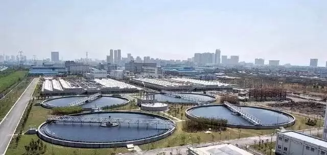 北京每天5700吨粪便 根本没运出五环 它们去了哪？
