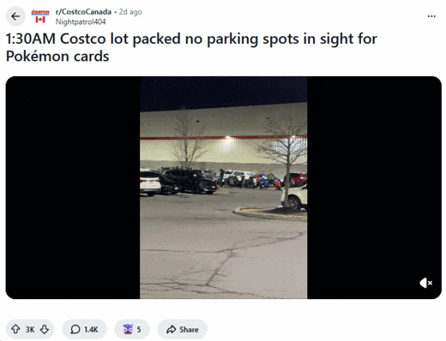 大多伦多Costco通宵排队, 占满停车场: 抢到一盒就能赚$200!