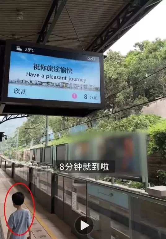 46岁张柏芝带三胎同游迪士尼，一人分饰父母两角