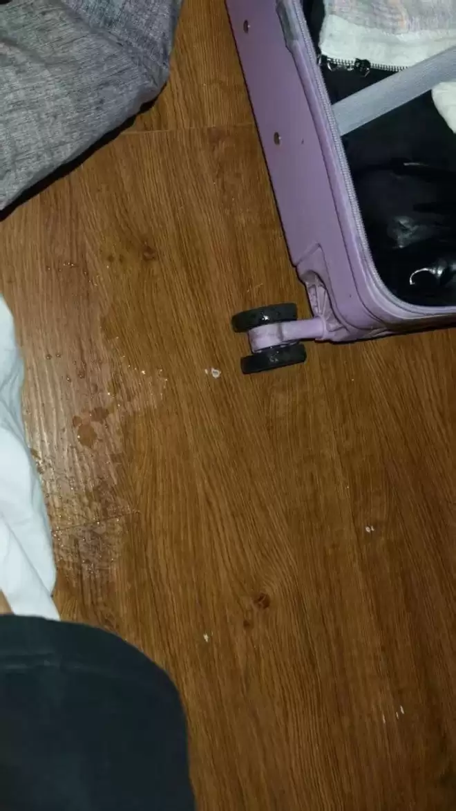 中国女游客在韩青旅被日男骚扰：对着她床铺小便，下跪称认错厕所
