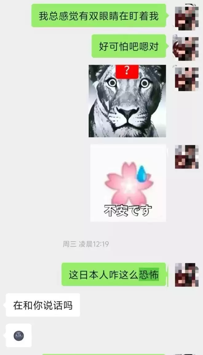 中国女游客在韩青旅被日男骚扰：对着她床铺小便，下跪称认错厕所