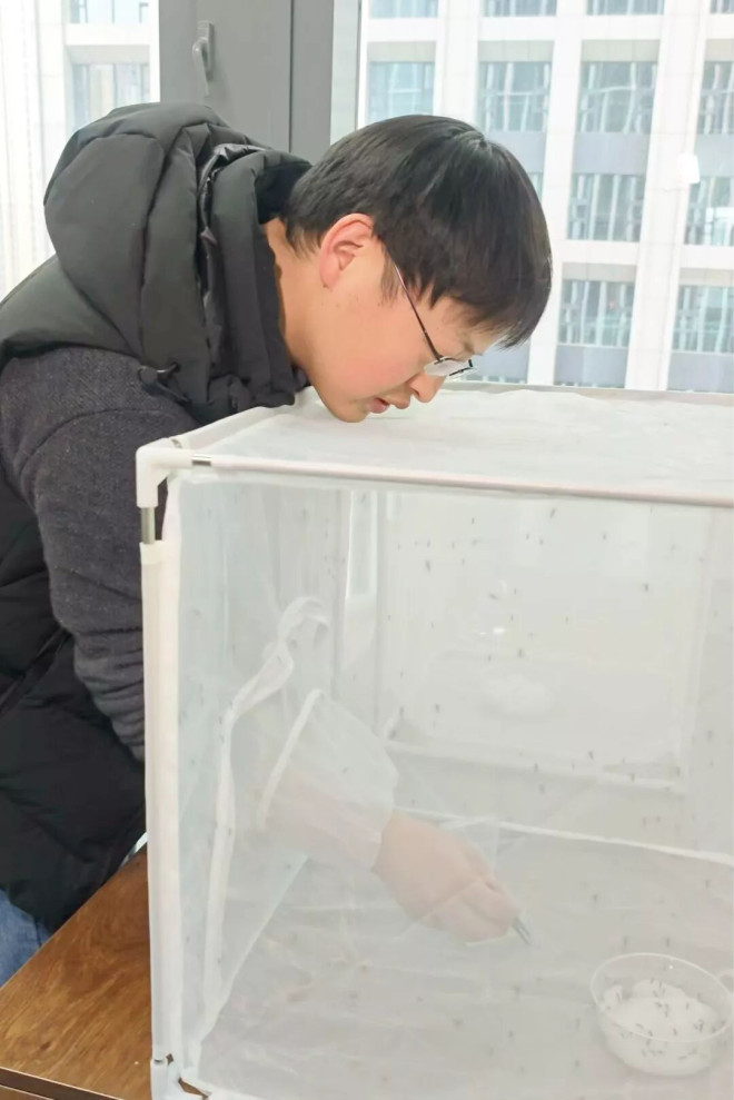 射程6米每秒击落30只蚊子 国产AI激光"灭蚊神器"爆红