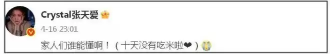 张天爱评论区沦陷！被曝卷入小三风波