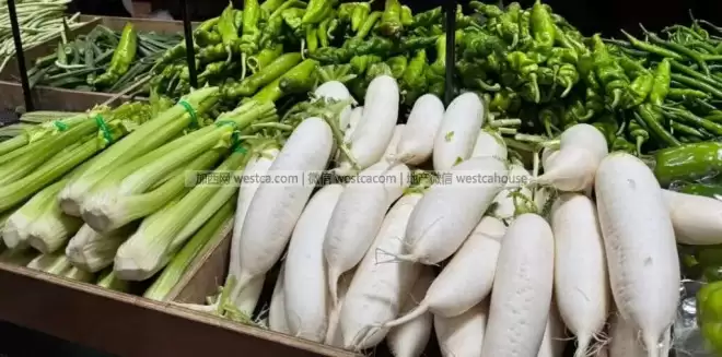买菜像“割肉”？加拿大菜价暴涨创3年新高