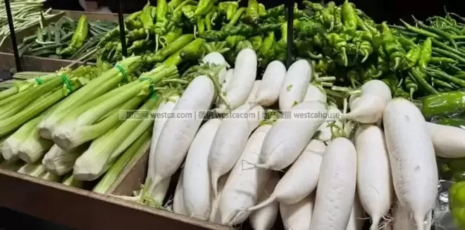 买菜像“割肉”？加拿大菜价暴涨创3年新高