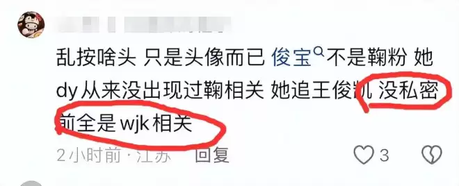 19岁女孩挪用1700万当“榜一大姐”,是王俊凯铁粉
