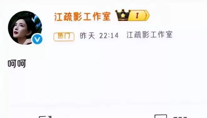 江疏影海外产子风波升级，遭正房儿子当众羞辱？
