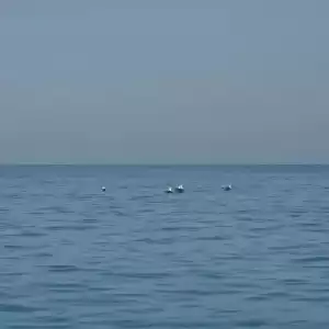 国际海事组织：约2万船员和1500艘船被困波斯湾