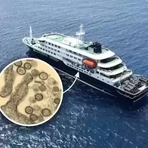 新增3例！汉坦病毒两大关键信息曝光：确定最强传染期、零号病人