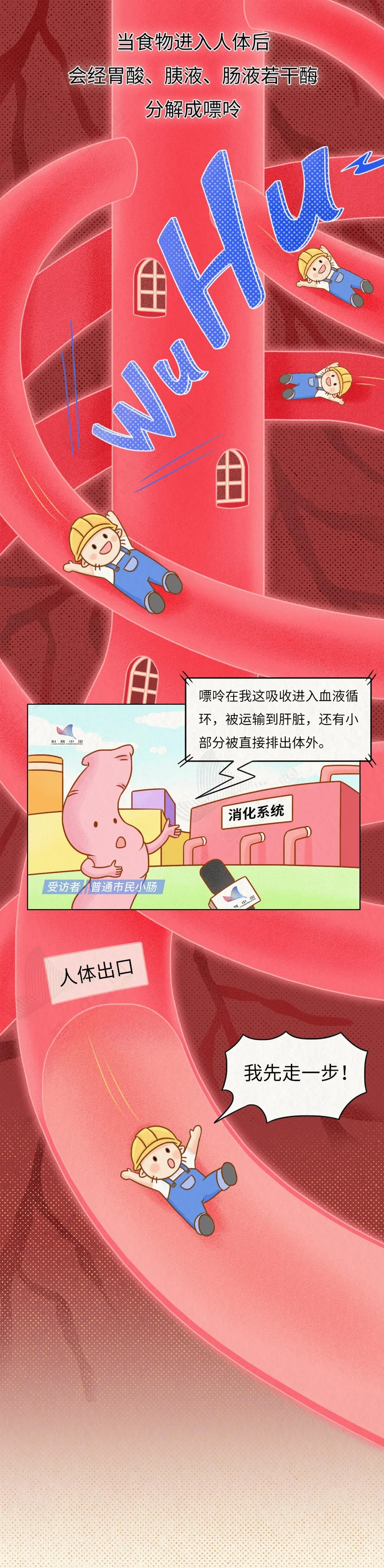 痛风“祸根”被揪出!我们对嘌呤的误解实在太深了