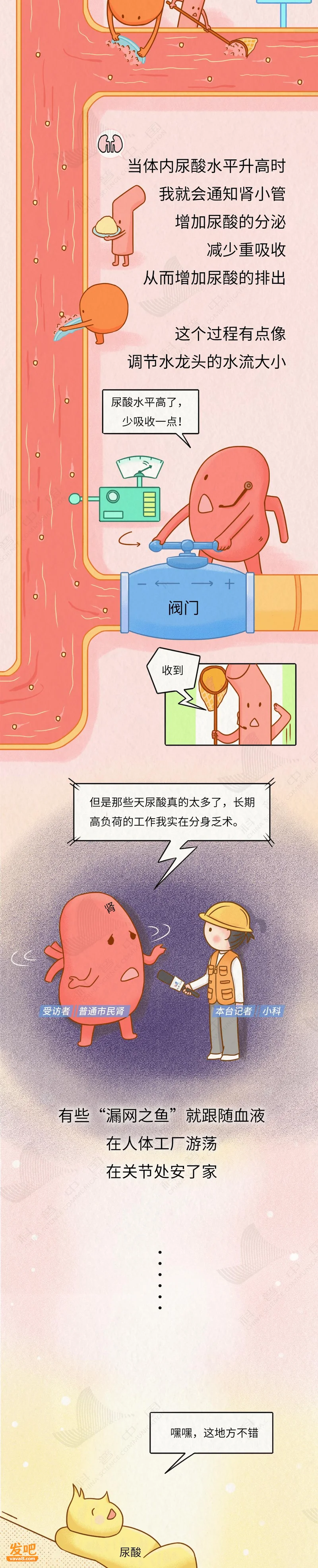 痛风“祸根”被揪出!我们对嘌呤的误解实在太深了