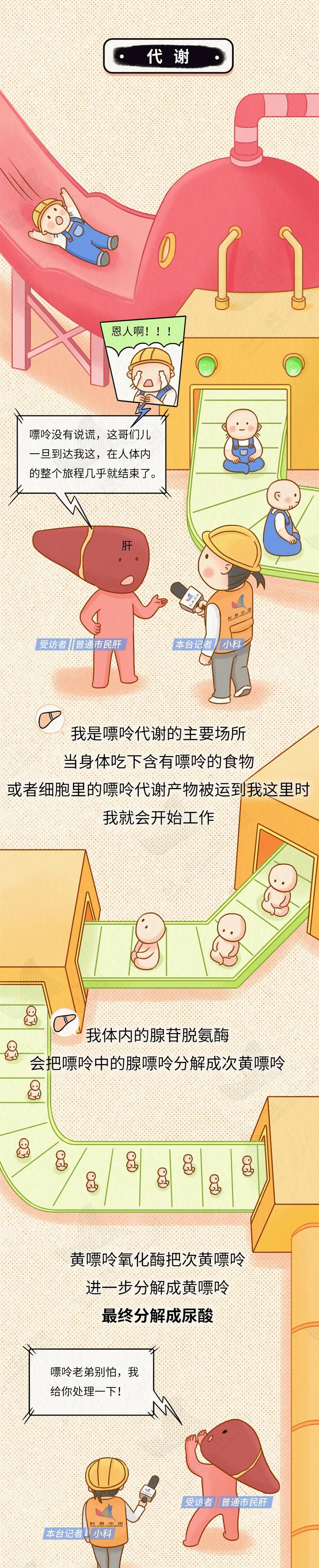 痛风“祸根”被揪出!我们对嘌呤的误解实在太深了