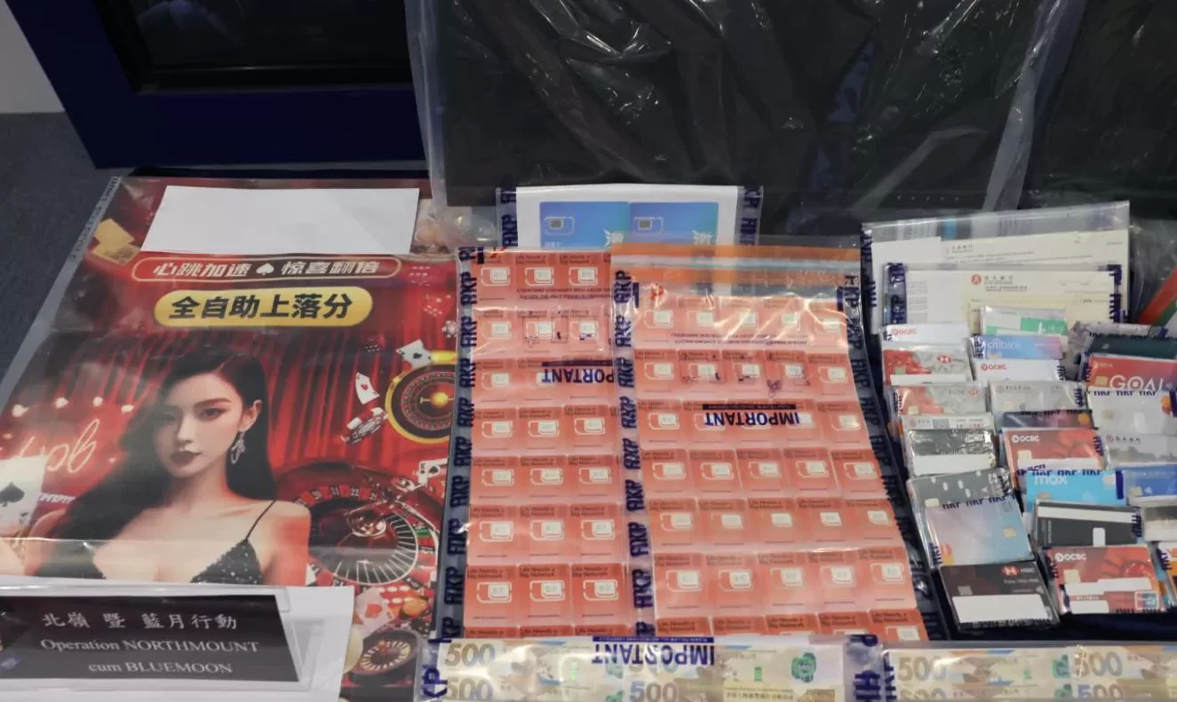 香港史上首位在日本AV业出道的香港女子被重案组拘捕，出道时曾因“恭贺新闻稿”惊动港府亲自出面辟谣！