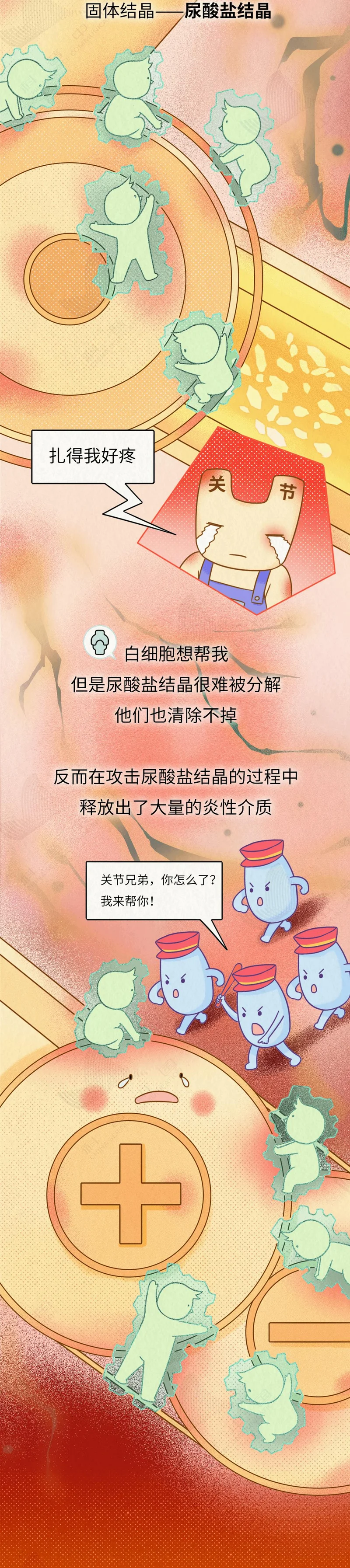 痛风“祸根”被揪出!我们对嘌呤的误解实在太深了