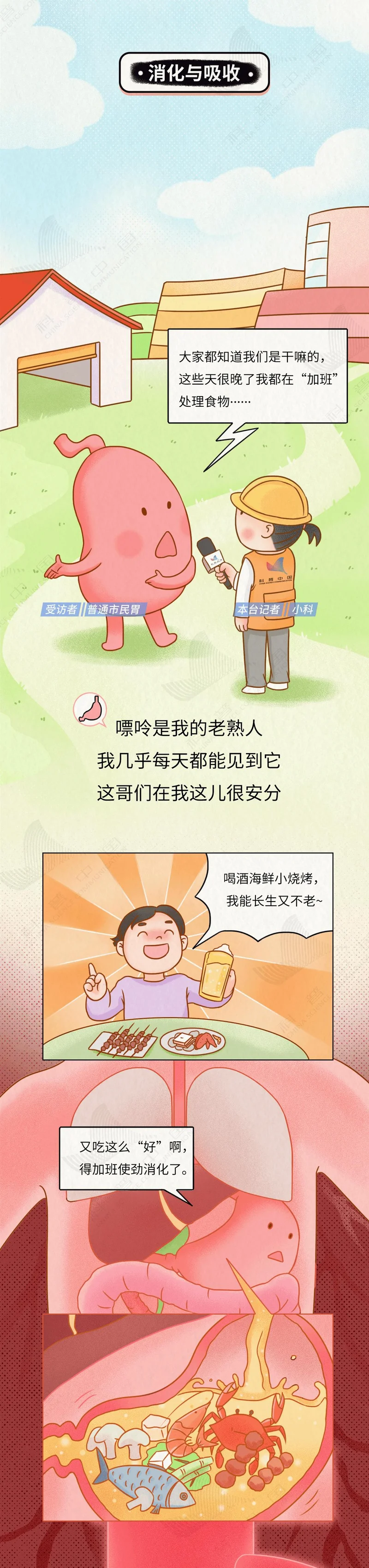 痛风“祸根”被揪出!我们对嘌呤的误解实在太深了