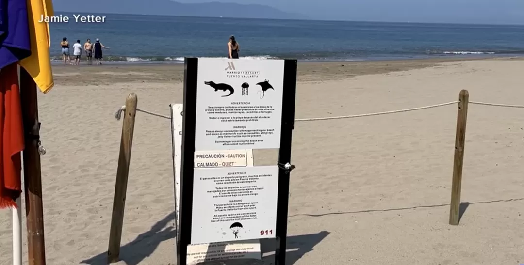 恐怖! 旅游胜地海滩巨型鳄鱼杀人 男子被活活咬死 拖进水底!