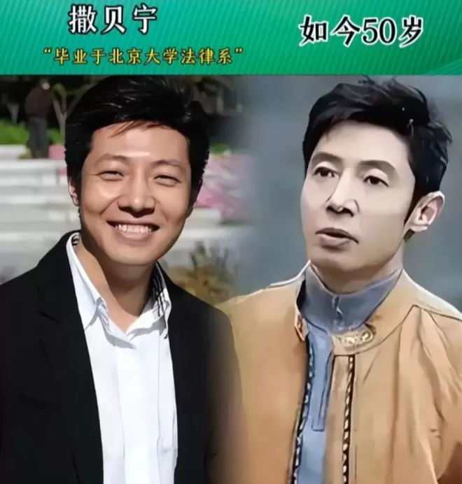 娱乐圈高学历的明星,名校出身碾压众人,学识让人佩服