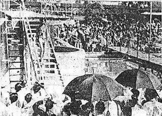 豪门不收，内娱不要：港姐之困