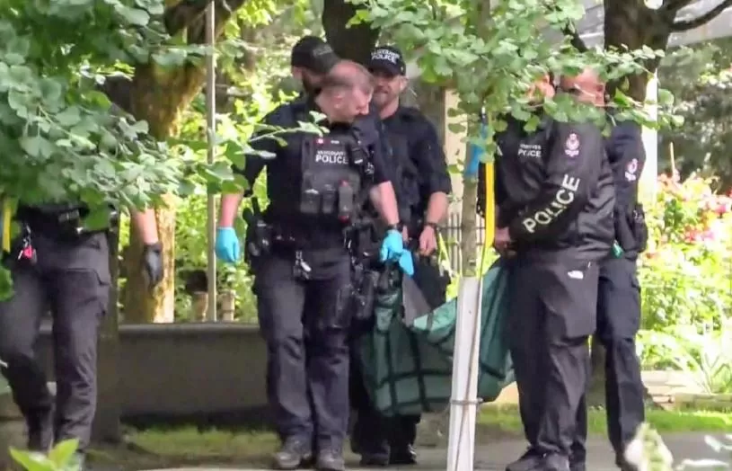 温哥华罕发熊出没警告   大摇大摆游逛多个街区   警员尾随助擒