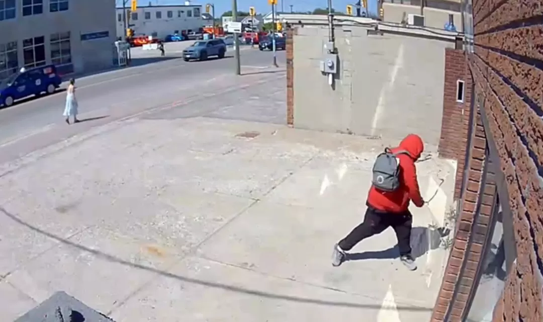 气炸! 店面玻璃多次被砸 加拿大老板持刀反击 被控多项重罪!