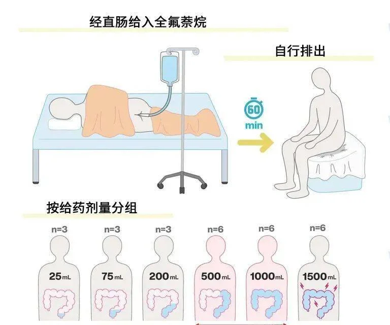向肛门充入氧气并且憋住 人类或许真的可以用屁股呼吸