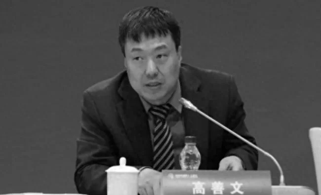 中国知名宏观经济学家高善文去世 年仅55岁