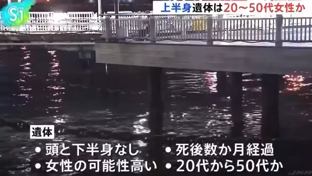 速报！日本横滨山下公园只有上半身的“无头女尸”，经确认是45岁中国籍女性...