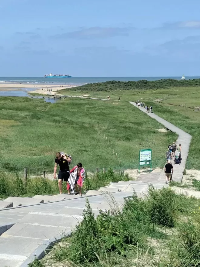 超4000人死亡，欧洲人开始偷中国空调了？