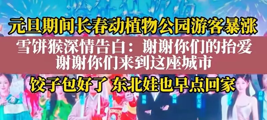 人均30元的“穷鬼版迪士尼”，截胡迪士尼的生意