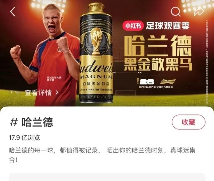哈兰德:中国球迷朋友太热情 超乎我想象 想去中国尝遍美食