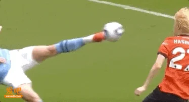 爱上哈兰德算恋丑癖吗?