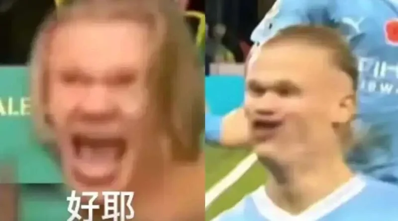 爱上哈兰德算恋丑癖吗?