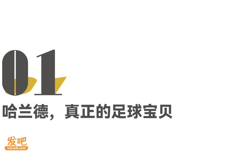爱上哈兰德算恋丑癖吗?