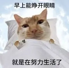 小红书超火的「你身边总会出现的留子」,简直不要太准