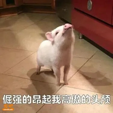 小红书超火的「你身边总会出现的留子」,简直不要太准