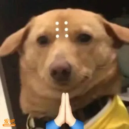小红书超火的「你身边总会出现的留子」,简直不要太准