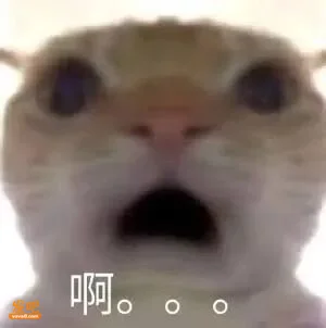 小红书超火的「你身边总会出现的留子」,简直不要太准