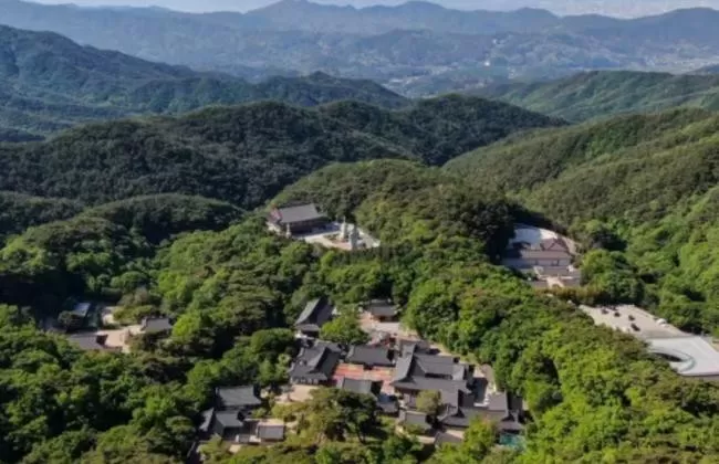 12男12女走进同一寺院 共有8对成功配对