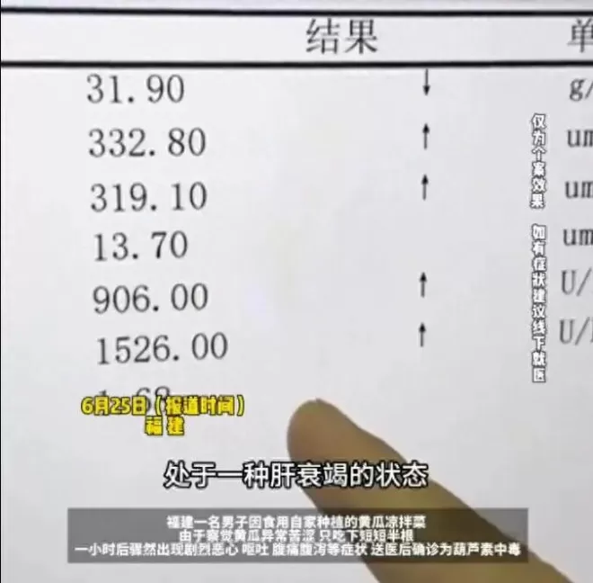 比砒霜还毒！一盘凉拌黄瓜致男子肝衰竭,医生建议