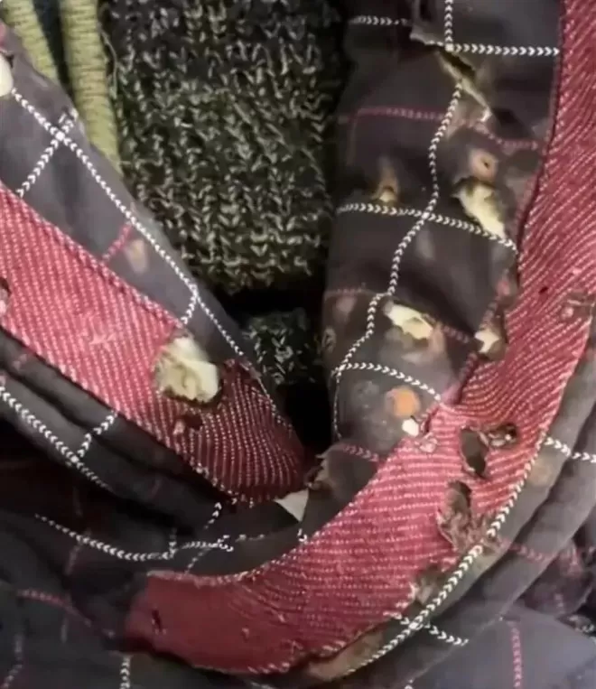 90岁焦晃:1天5包烟穿纸尿裤,与小30岁三婚妻子住破旧小区